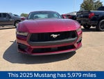 2025 Ford Mustang EcoBoost
