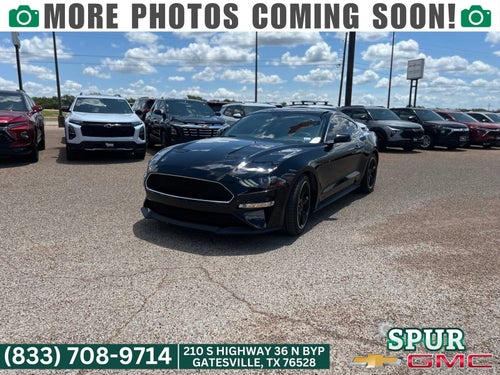 2019 Ford Mustang BULLITT