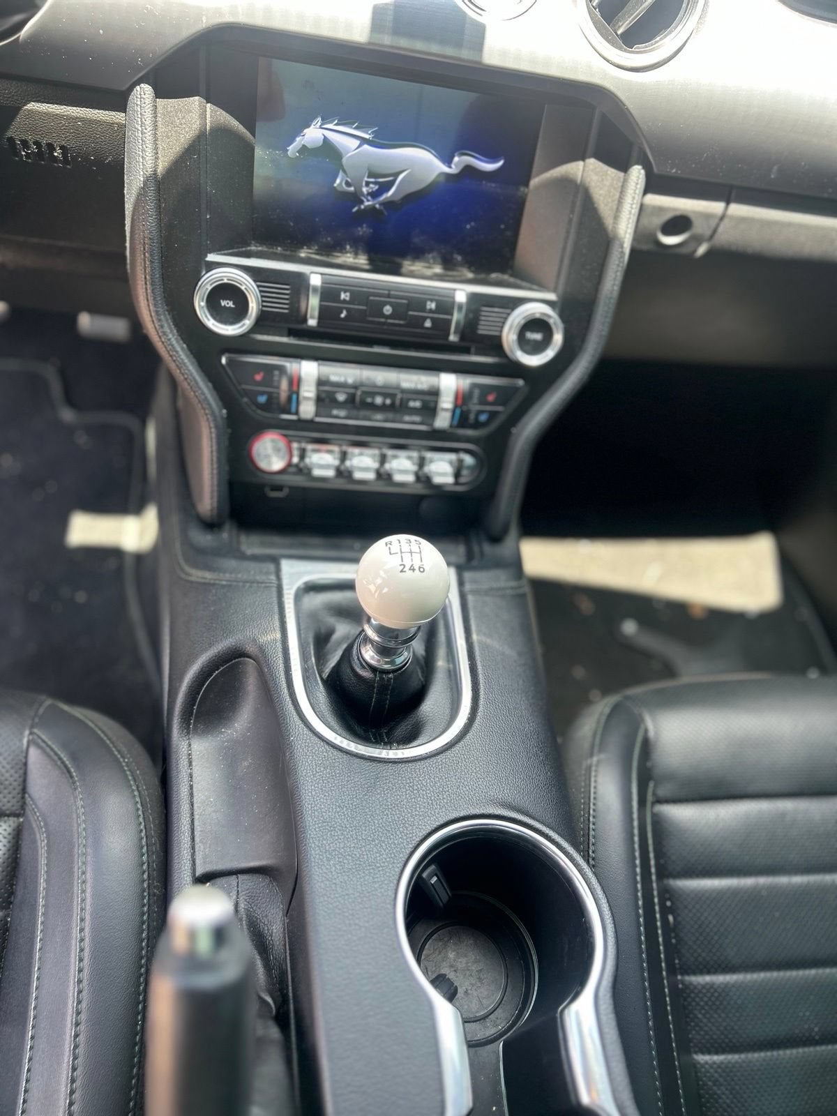 2019 Ford Mustang BULLITT