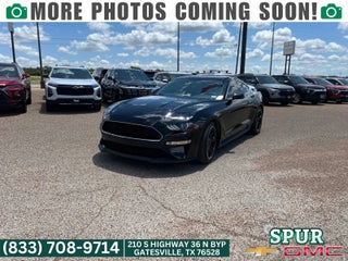 2019 Ford Mustang BULLITT