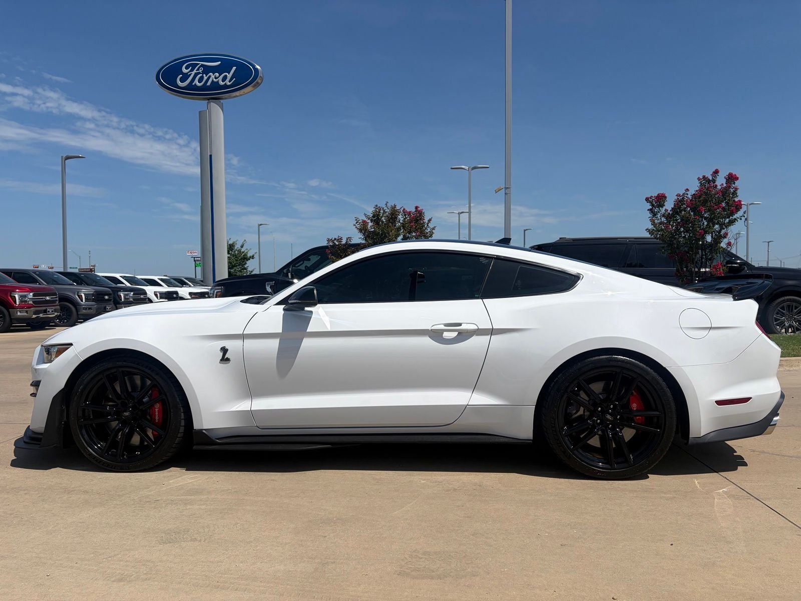 2020 Ford Mustang Shelby GT500